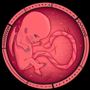 LP Tozer: City Under Siege / Son Of Dragon