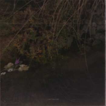 CD Franz Schubert: Schubert