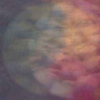 LP Kinbrae: Cryptophasia