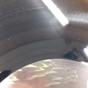 LP King Gizzard And The Lizard Wizard: I'm In Your Mind Fuzz