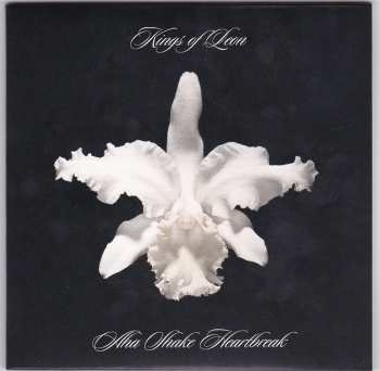 5CD/DVD/Coffret Kings Of Leon: The Collection Box