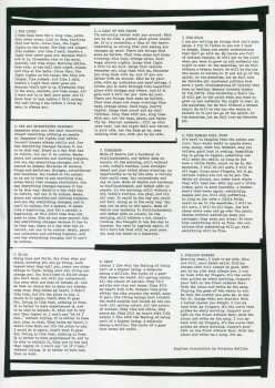 LP Kiwis: Vida Exterior LTD