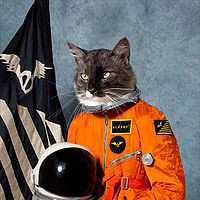 CD Klaxons: Surfing The Void