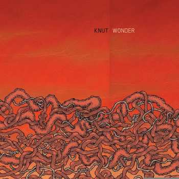 Album Knut: Wonder
