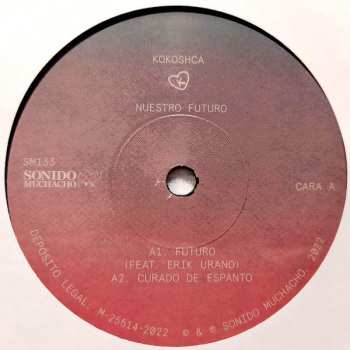 SP Kokoshca: Nuestro Futuro
