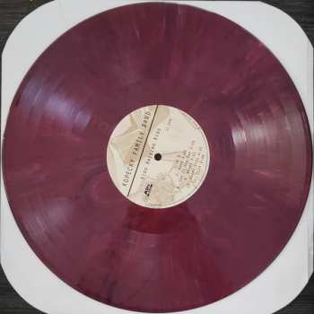 LP Kopecky Family Band: Kids Raising Kids