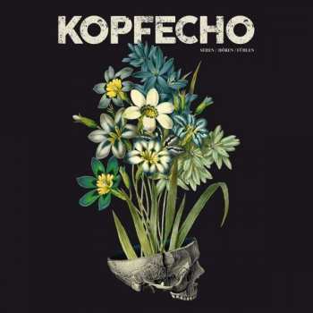 Album Kopfecho: Sehen / Hören / Fühlen