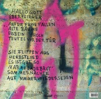 LP Koriander: Koriander LTD