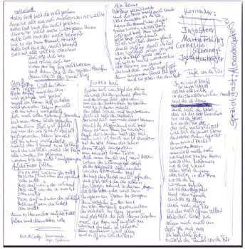 LP Koriander: Koriander LTD