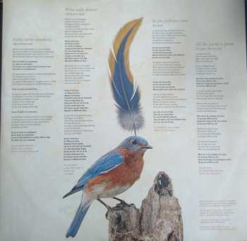 2LP/CD Köster / Hocker: Fremde Feddere