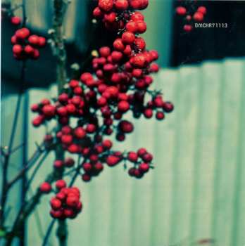 CD L 14, 16: Elder