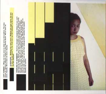 CD Lali Puna: Faking The Books