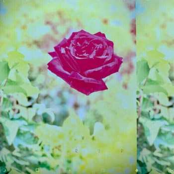 LP Lambchop: Trip LTD | CLR