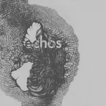 CD Late Night Alumni: Echos