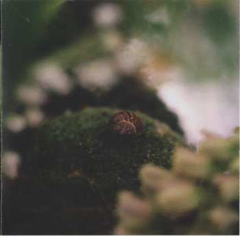 CD Laura Misch: Sample The Sky