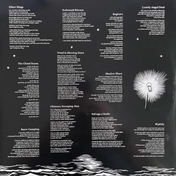 LP Laura Veirs: Carbon Glacier