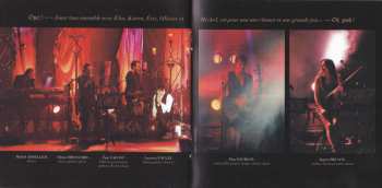 2CD/DVD Laurent Voulzy: Lys & Love Tour