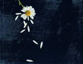 CD Lauri Tähkä: Vien Sut Täältä Kotiin