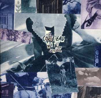 Album Le Corbeau: Moth On The Headlight