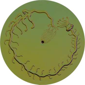 LP Le Diable Degoutant: Fleur De Chagrin