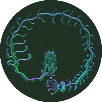 LP Le Diable Degoutant: Fleur De Chagrin
