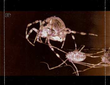 3CD/Coffret Leæther Strip: After The Devastation LTD