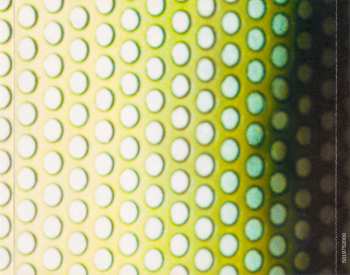 CD LeAnn Rimes: I Need You