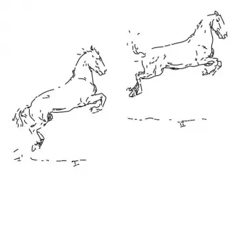 Leo Hofmann: Kapriole