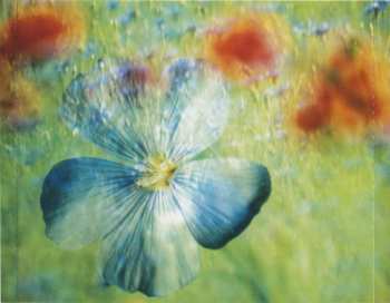 CD Leopold Mozart: Symphonies