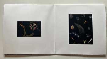 2LP Leprous: Melodies Of Atonement CLR | LTD