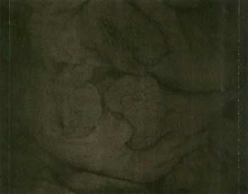 CD Leprous: The Congregation