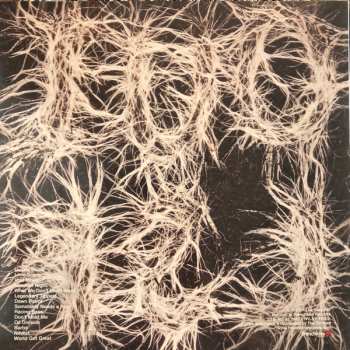 LP Les Savy Fav: OUI, LSF CLR