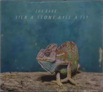Lick A Stone Kill A Fly
