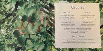 2CD Lina Nyberg: Terrestrial