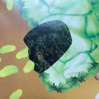 2CD Lina Nyberg: Terrestrial