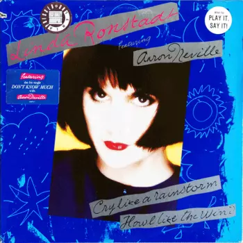 Cry Like A Rainstorm - Howl Like The Wind