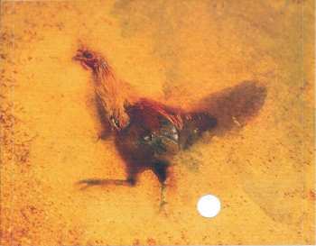 CD Little Feat: Rooster Rag