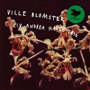 Album Liv Andrea Hauge Trio: Ville Blomster