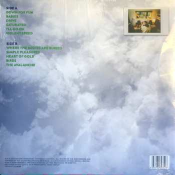 LP Liz Lawrence: The Avalanche