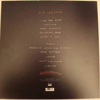 LP Loma: Don't Shy Away CLR