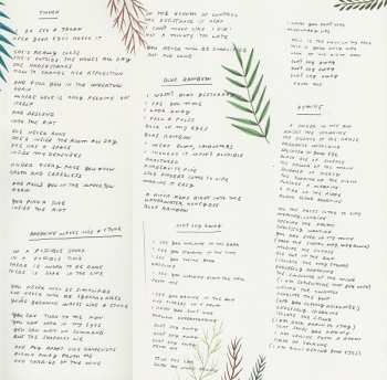 LP Loma: Don't Shy Away CLR