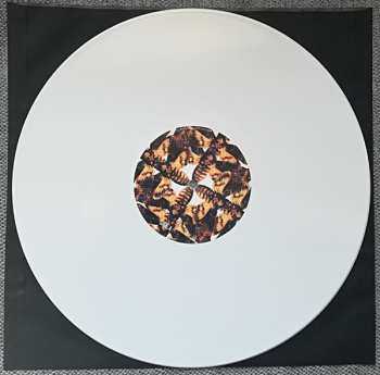 LP Lonely Kamel: Death's​-​Head Hawkmoth  CLR