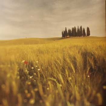 LP/CD/Coffret Loreena McKennitt: Lost Souls  DLX | LTD