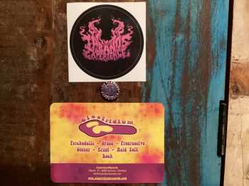 LP Los Tabanos Experience: A Conscious Dream