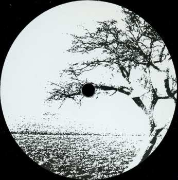 LP LoSoul: Open Door
