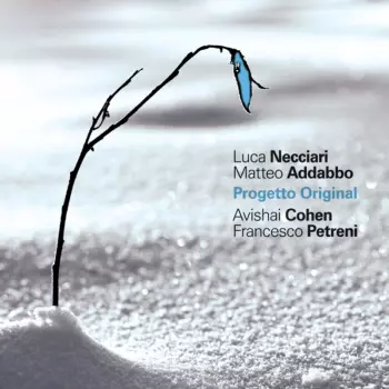 Avishai E. Cohen: Progetto Original