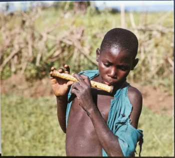 2CD Kisii: Kenya: Musiques Du Nyanza = Kenya: Musics From Nyanza