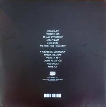 LP/CD M. Ward: A Wasteland Companion