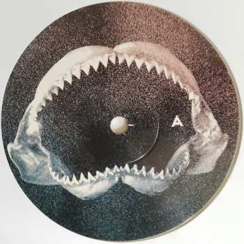 LP M. Ward: What A Wonderful Industry CLR