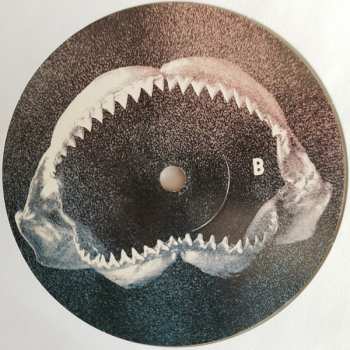 LP M. Ward: What A Wonderful Industry CLR